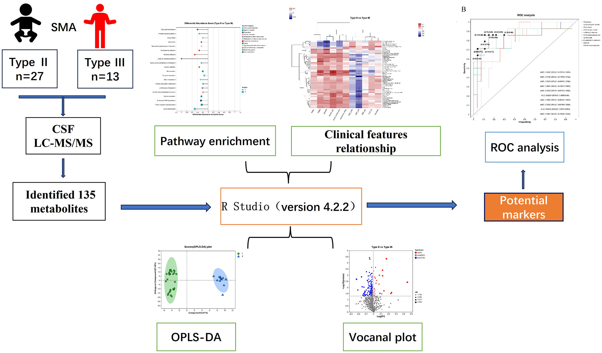 Metabolomics of cerebrospinal fluid reveals candidate diagnostic biomarkers to distinguish between spinal muscular atrophy type II and type III