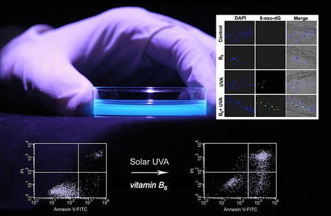 The B6-vitamer Pyridoxal is a Sensitizer of UVA-induced Genotoxic Stress in Human Primary Keratinocytes and Reconstructed Epidermis
