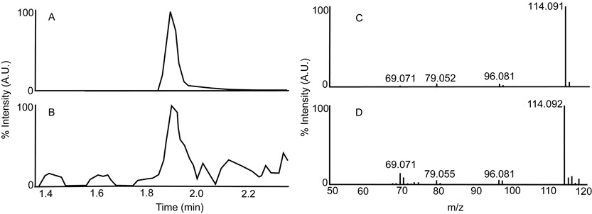 A Genome-Wide Assessment of Variability in Human Serum Metabolism