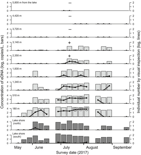 Environmental DNA analysis as a non-invasive quantitative tool for reproductive migration of a threatened endemic fish in rivers