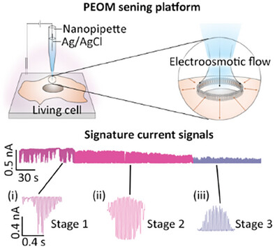 Picofluidic Electro-Osmosis Measurement of Cell Membrane Mechanical Properties