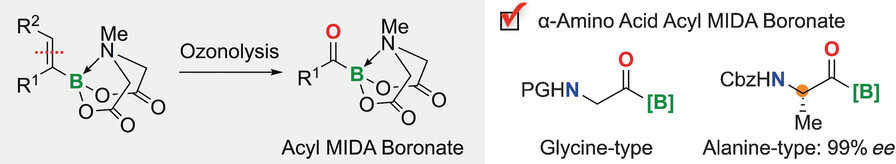 Synthesis of Acylborons by Ozonolysis of Alkenylboronates: Preparation of an Enantioenriched Amino Acid Acylboronate