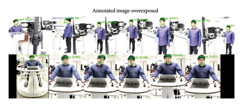 Details are in the caption following the image Details are in the caption following the image