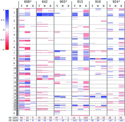 Concurrent DNA Copy-Number Alterations and Mutations in Genes Related to Maintenance of Genome Stability in Uninvolved Mammary Glandular Tissue from Breast Cancer Patients