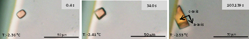 Details are in the caption following the image Details are in the caption following the image