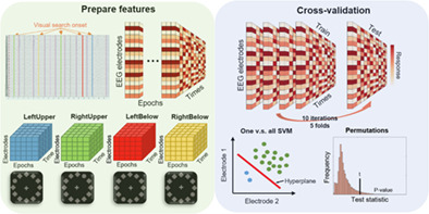 Information-based multivariate decoding reveals imprecise neural encoding in children with attention deficit hyperactivity disorder during visual selective attention