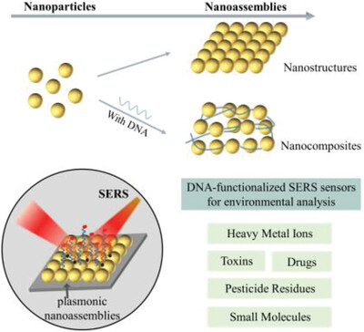 DNA functionalized plasmonic nanoassemblies as SERS sensors for environmental analysis Issue 2, 2023