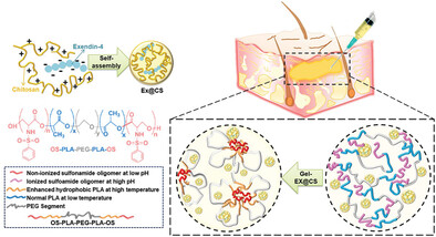 pH-temperature Responsive Hydrogel-Mediated Delivery of Exendin-4 Encapsulated Chitosan Nanospheres for Sustained Therapeutic Efficacy in Type 2 Diabetes Mellitus