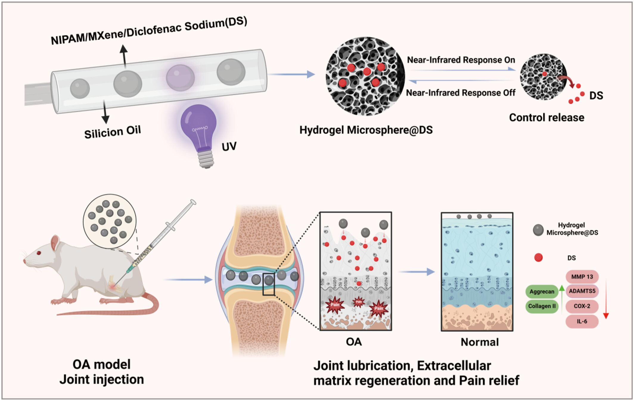 MXene-Based Photothermal-Responsive Injectable Hydrogel Microsphere Modulates Physicochemical Microenvironment to Alleviate Osteoarthritis