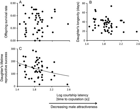 Attractive males produce high-quality daughters in the bean bug Riptortus pedestris
