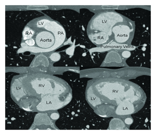 Details are in the caption following the image Details are in the caption following the image