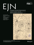 BASAL GANGLIA COVER