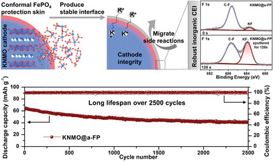 A Conformal Protective Skin Producing Stable Cathode-Electrolyte Interface for Long-Life Potassium-Ion Batteries
