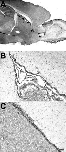 Details are in the caption following the image