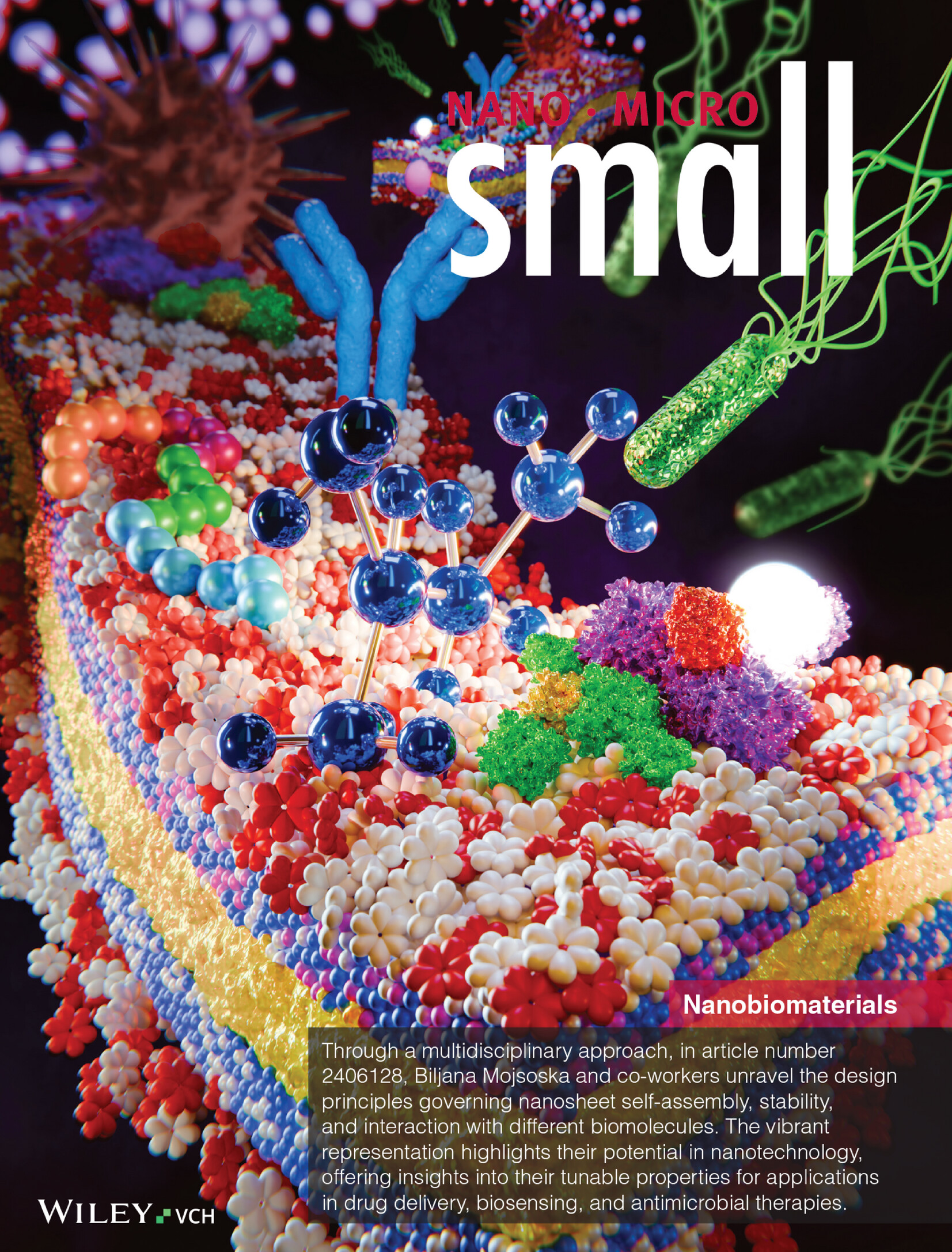 Uprising Unconventional Nanobiomaterials: Peptoid Nanosheets as a Multi-Modular Platform for Advanced Biological Studies (Small 9/2025) Volume 21 Issue 9, 2025