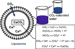 Sequestration of Carbon Dioxide with Simultaneous Formation of Fine Calcium Carbonate Particles in Liposomes