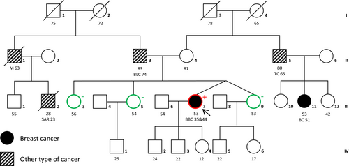 Details are in the caption following the image Details are in the caption following the image