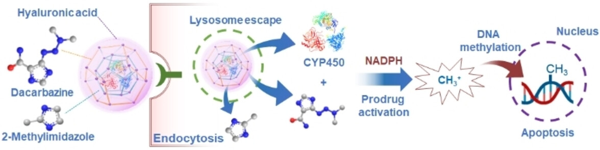 Core-Shell Reactor Partitioning Enzyme and Prodrug by ZIF-8 for NADPH-Sensitive In Situ Prodrug Activation