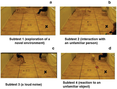 Effects of a new dietary supplement on behavioural responses of dogs exposed to mild stressors
