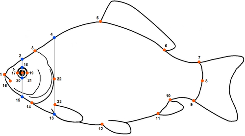 Details are in the caption following the image Details are in the caption following the image