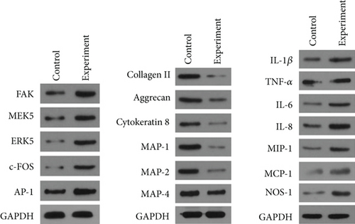 Details are in the caption following the image