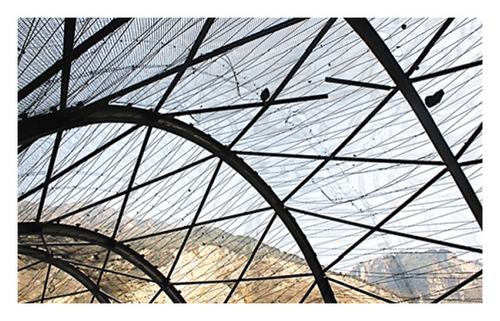 Details are in the caption following the image Details are in the caption following the image