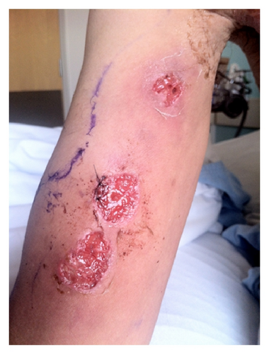 Details are in the caption following the image Details are in the caption following the image