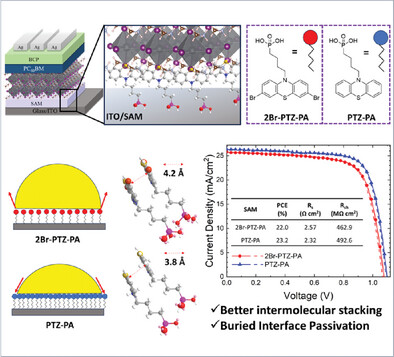 Rational Design and Visualization of Multifunctional Phenothiazine-Based Self-Assembled Monolayers for Better Interface Contact in High-Efficiency and Stable Perovskite Solar Cells