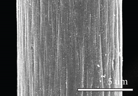 Details are in the caption following the image