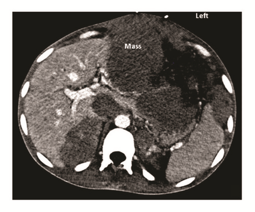 Details are in the caption following the image Details are in the caption following the image