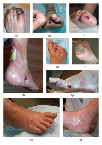 Details are in the caption following the image Details are in the caption following the image