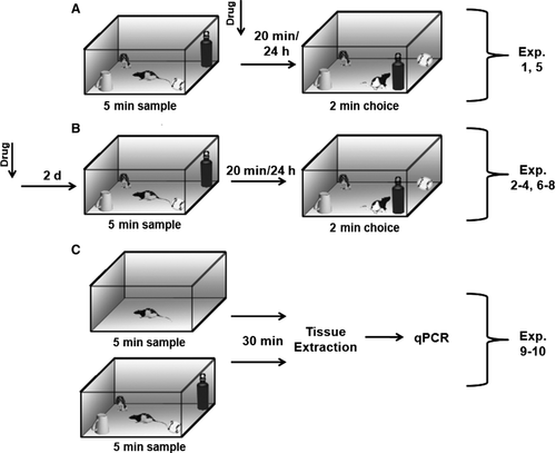 Details are in the caption following the image Details are in the caption following the image
