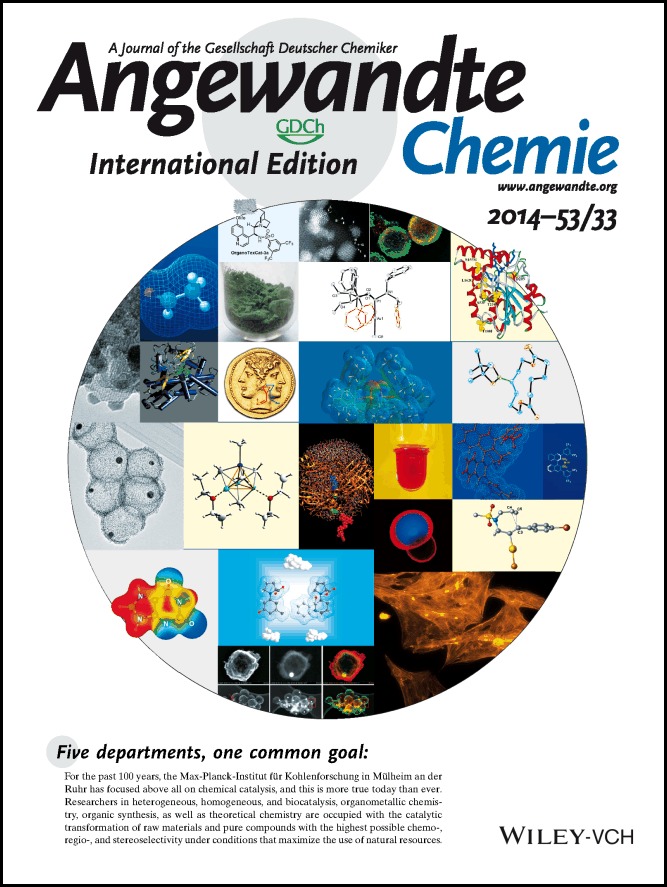 Back Cover: (Angew. Chem. Int. Ed. 33/2014)