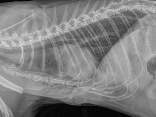 Details are in the caption following the image