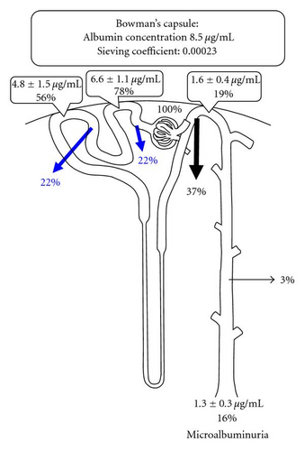 Details are in the caption following the image