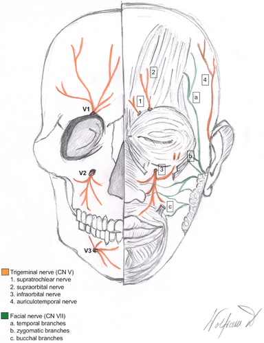 Details are in the caption following the image Details are in the caption following the image