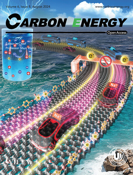 Back Cover Image, Volume 6, Number 8, August 2024 Volume 6 Issue 8, 2024