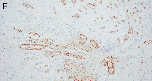 Details are in the caption following the image Details are in the caption following the image