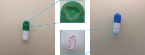 Details are in the caption following the image Details are in the caption following the image