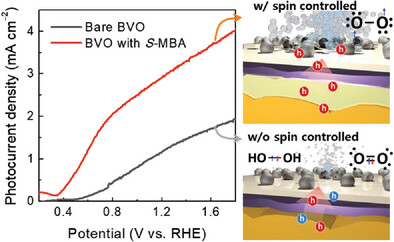 Chirality-Induced Spin Selectivity of Chiral 2D Perovskite Enabling Efficient Spin-Dependent Oxygen Evolution Reaction