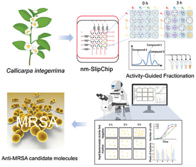 Rapid High-Throughput Discovery of Molecules With Antimicrobial Activity From Natural Products Enabled by a Nanoliter Matrix SlipChip