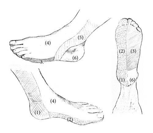 Details are in the caption following the image Details are in the caption following the image