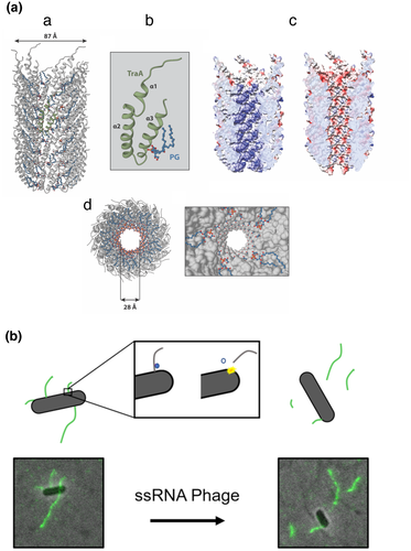 Details are in the caption following the image Details are in the caption following the image