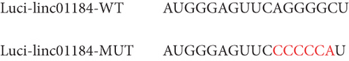 Details are in the caption following the image