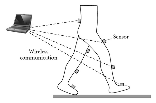 Details are in the caption following the image Details are in the caption following the image