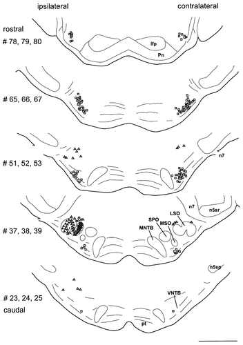 Details are in the caption following the image