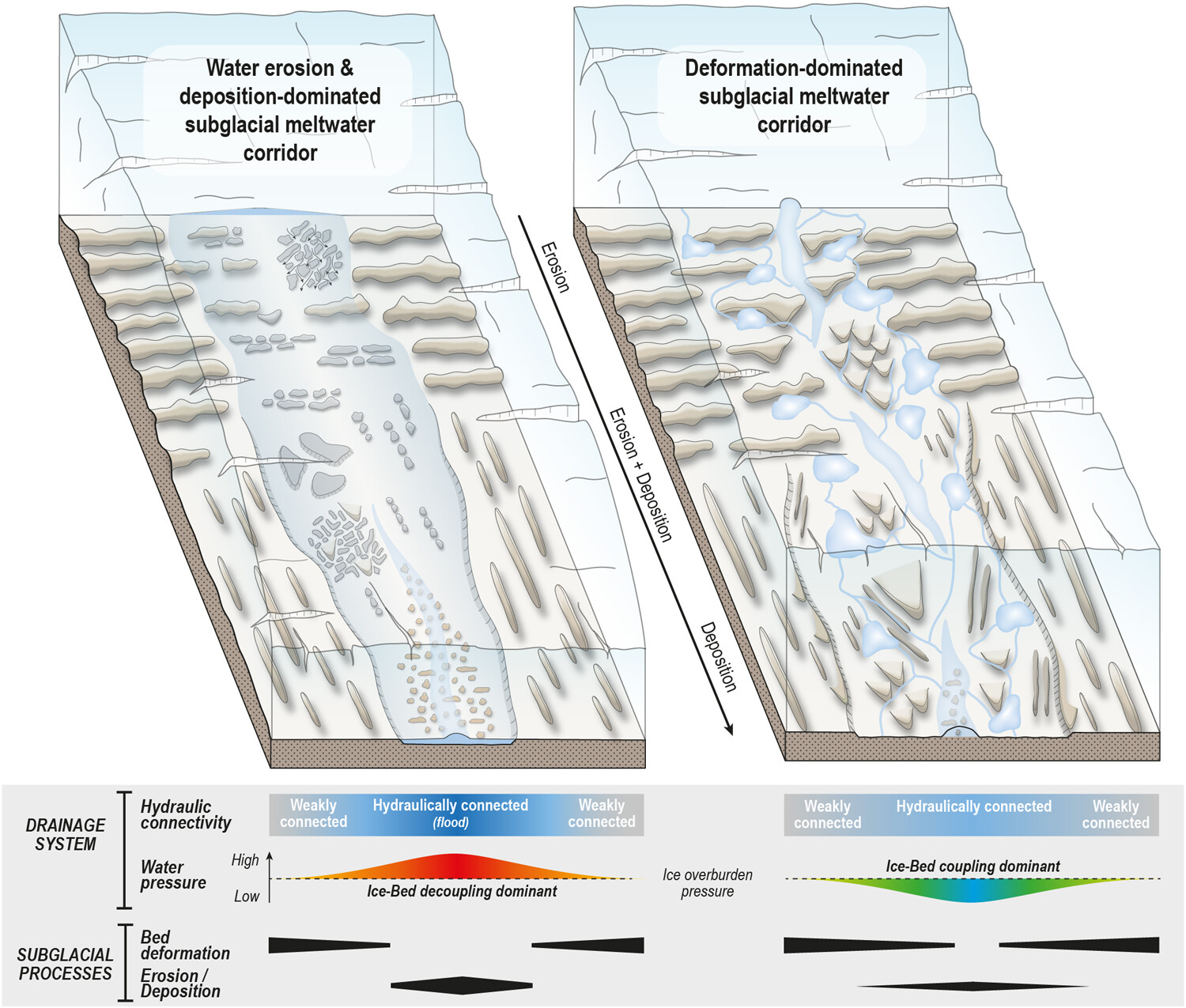 Conceptual model for the formation of bedforms along subglacial meltwater corridors (SMCs) by variable ice-water-bed interactions
