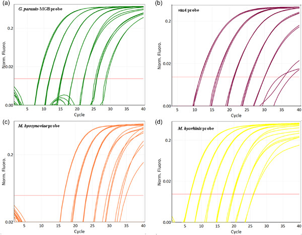 Development of a new multiplex quantitative PCR for the detection of Glaesserella parasuis, Mycoplasma hyorhinis, and Mycoplasma hyosynoviae