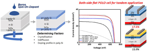 Boron-doped polysilicon using spin-on doping for high-efficiency both-side passivating contact silicon solar cells