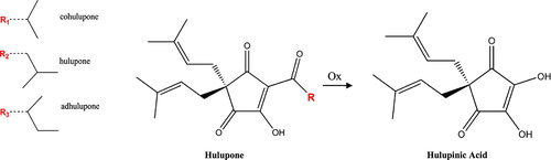 Details are in the caption following the image Details are in the caption following the image